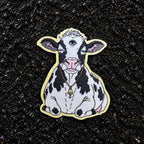 MOOTATED COLLECTION
