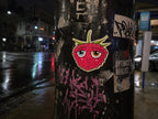 RASPBERRY PRINCESS