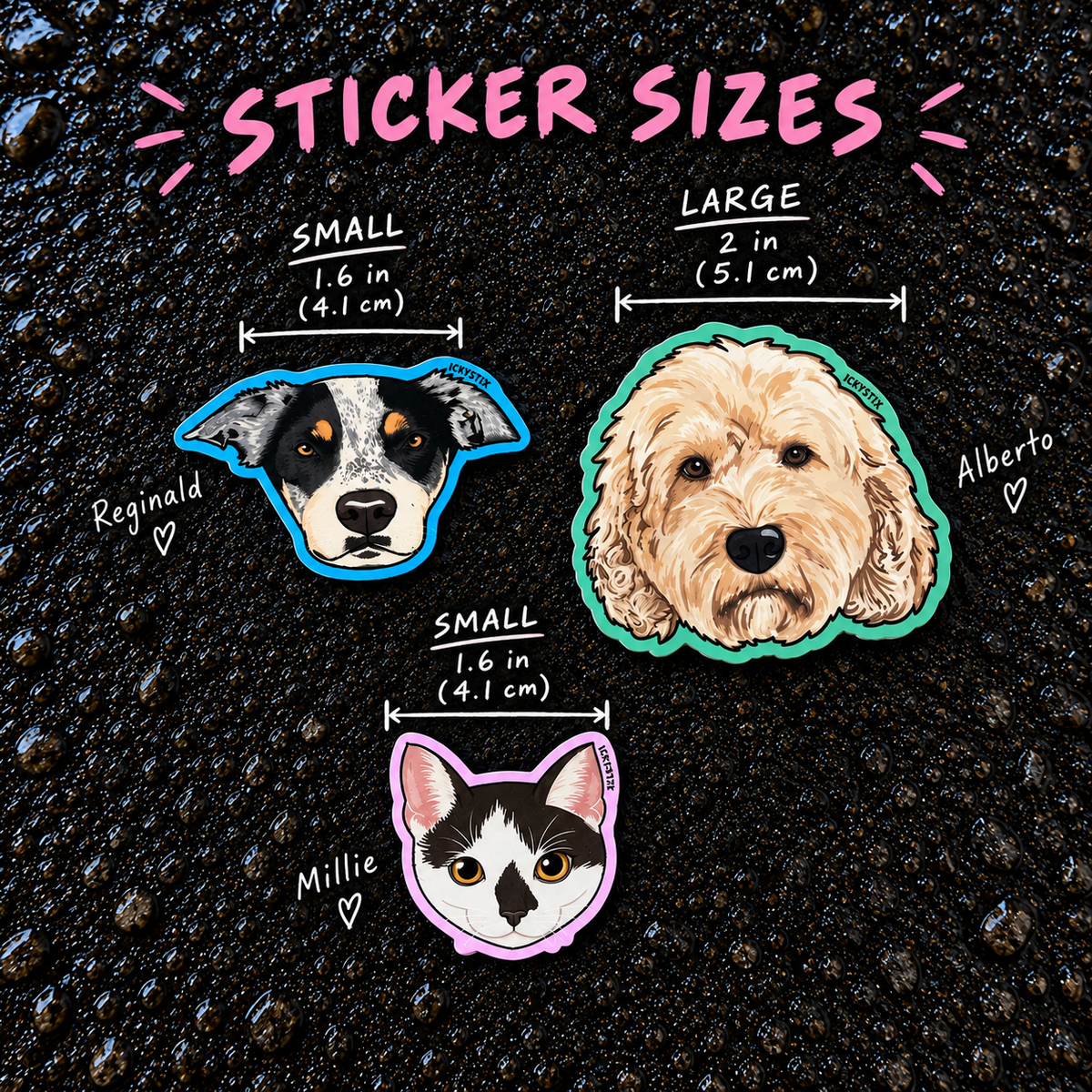 Custom Pet Portrait Pack